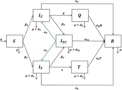 A mathematical model of tuberculosis and COVID-19 coinfection with the effect of isolation and treatment
